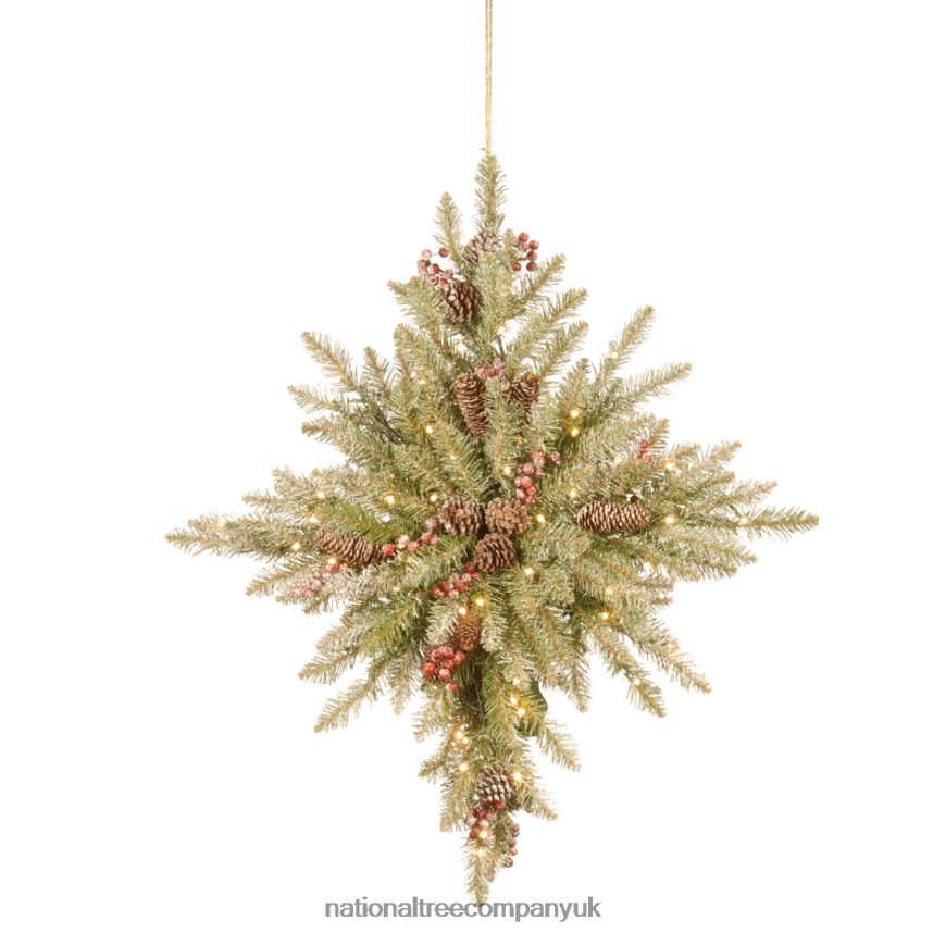 Greenery | National Tree Company 32 in Snowy Dunhill Fir Bethlehem Star with Battery Operated LED Lights F2L4F496